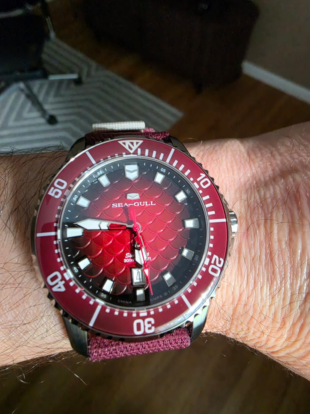 Customer photo review of Ocean Series Pro "Dragon Kings of the Four Seas" Dragon-scale Dial 300m Waterproof Diving Watch 44mm