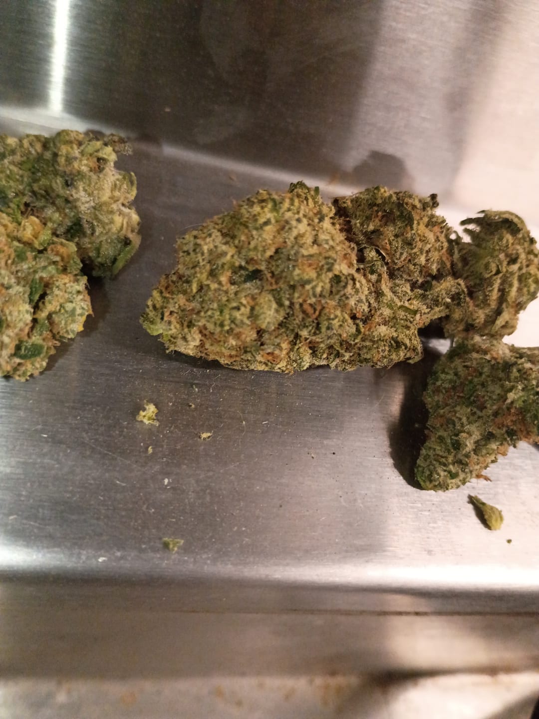 Customer photo review of Lemon Haze THCA Flower (Budget)