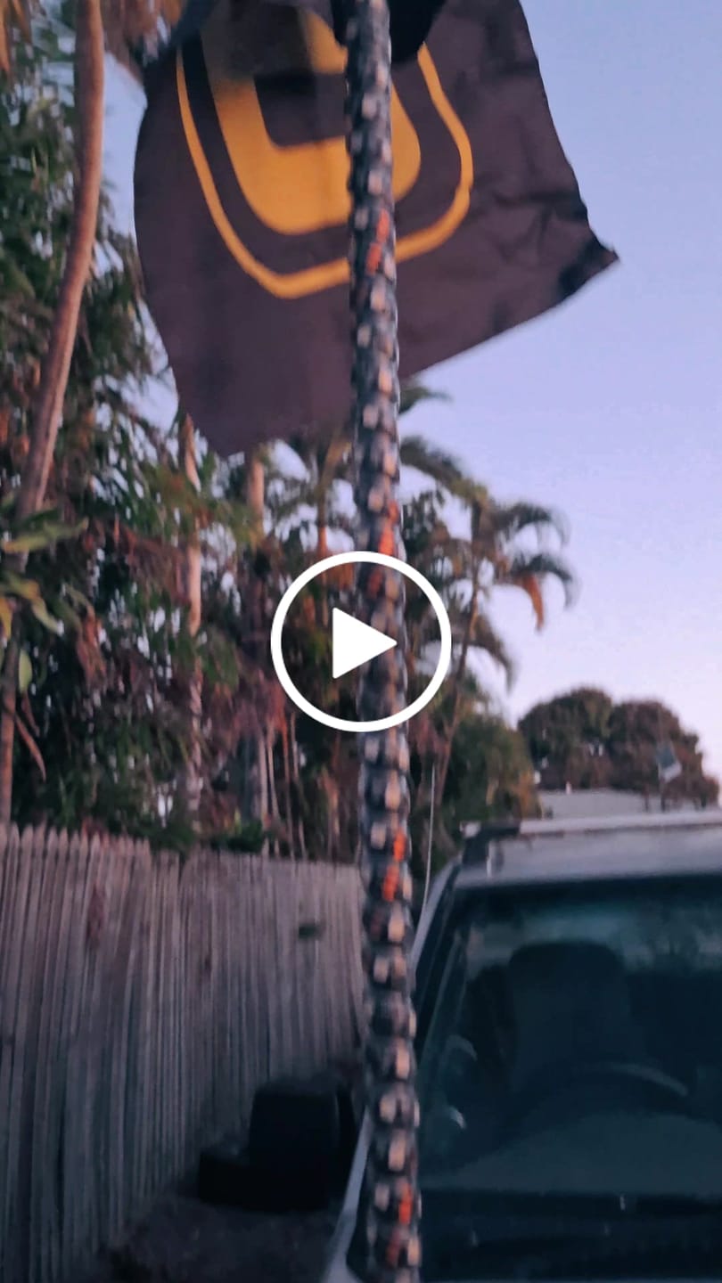 Customer video review of 5ft LED Whip Lights