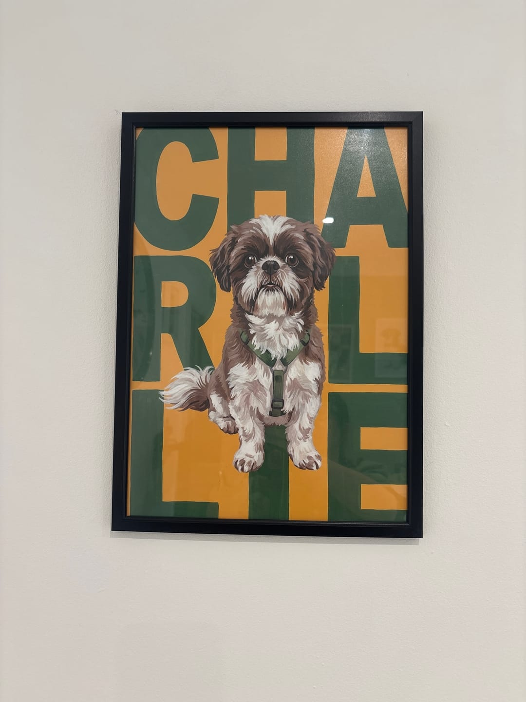 Customer photo review of Big Name - Personalised Poster