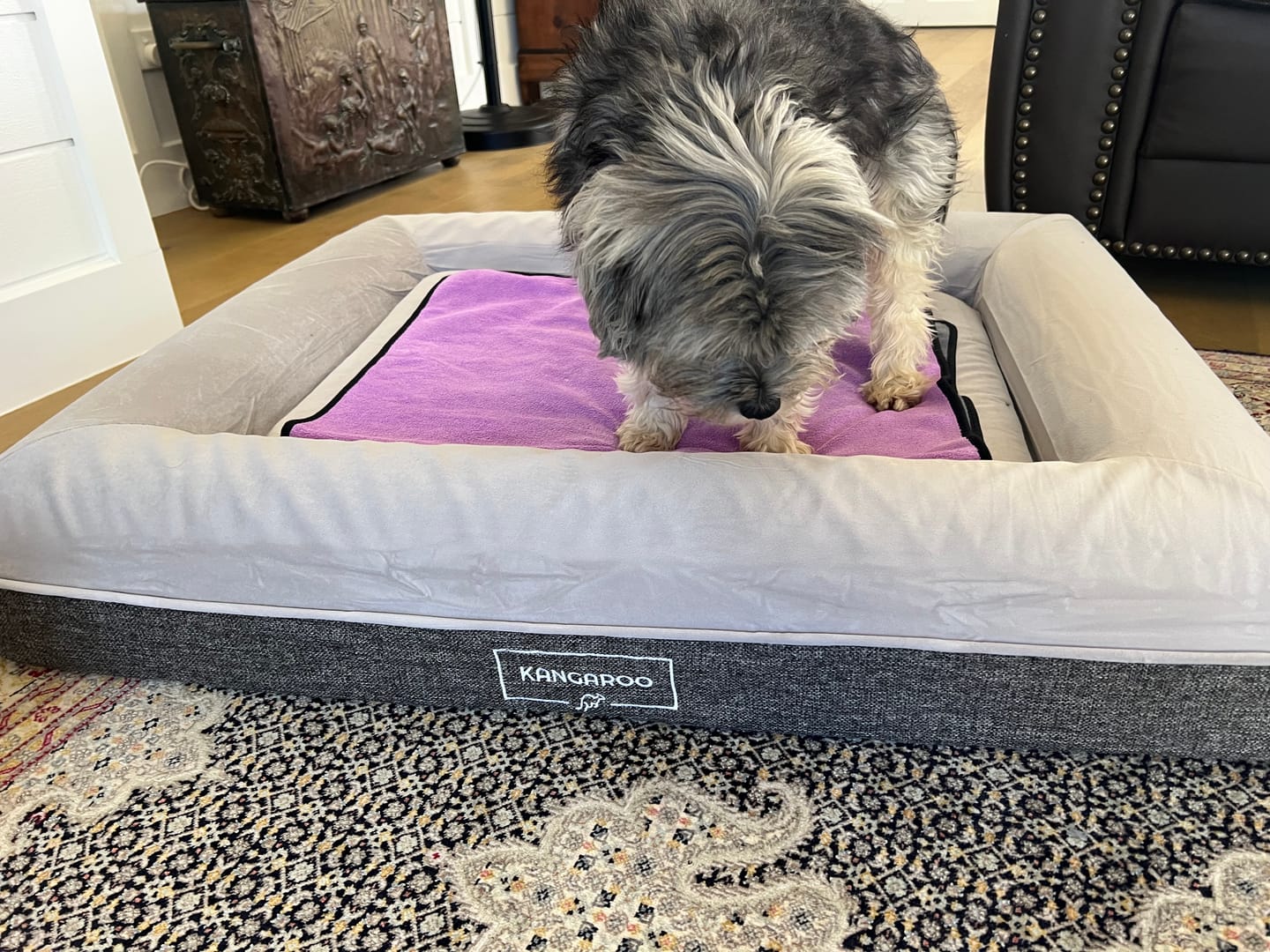 Customer photo review of Orthopaedic Memory Foam Dog Bed