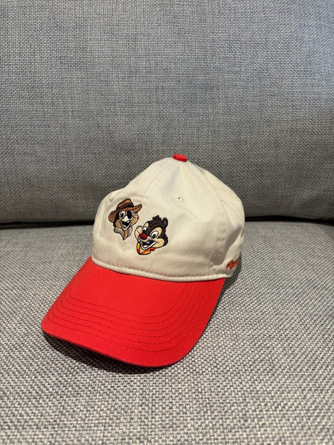 Customer photo review of Disney's Chip 'n Dale Rescue Rangers "To the Rescue" – Dad Hat