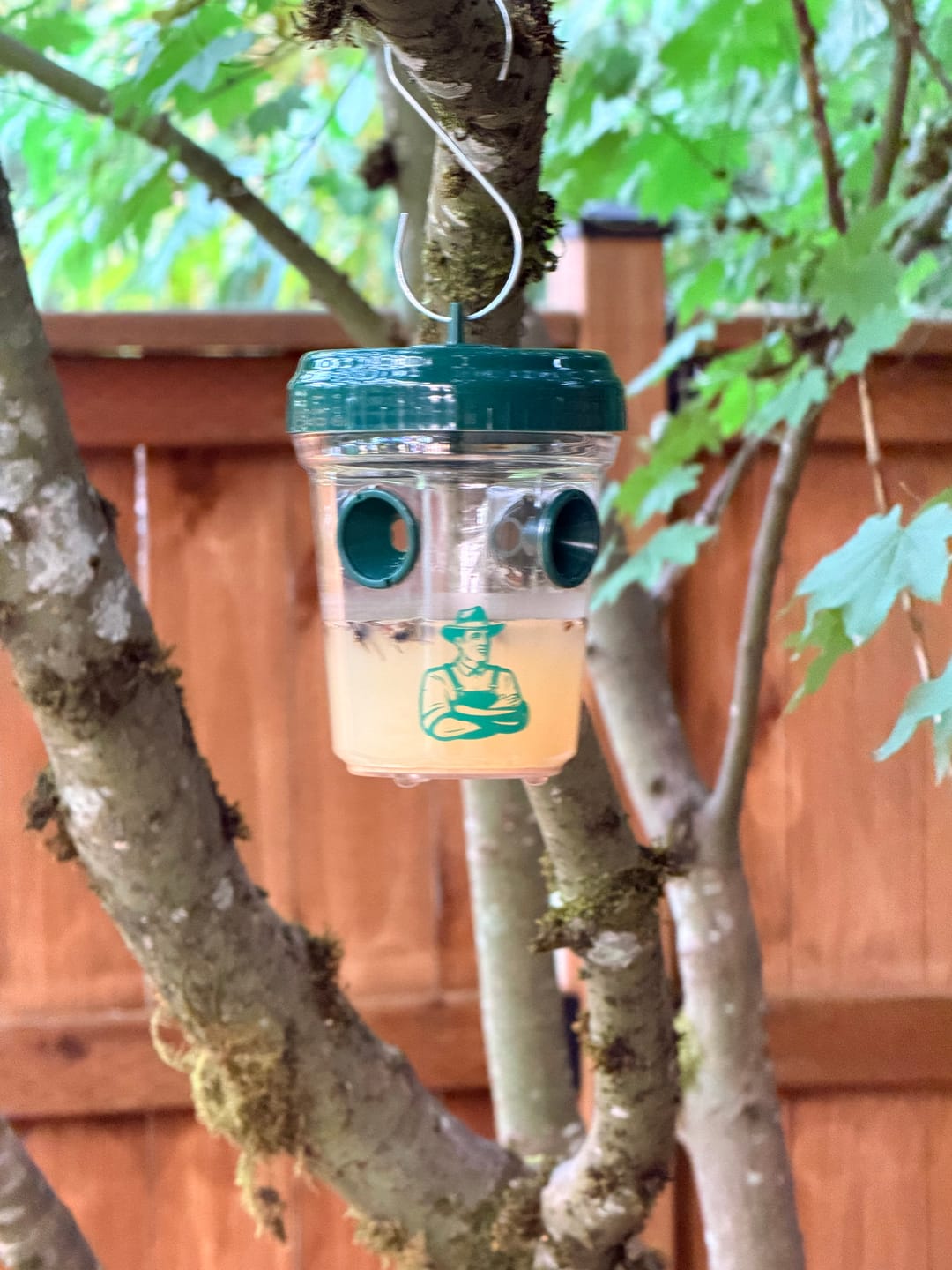 Customer photo review of Mosquito TNT 2.0