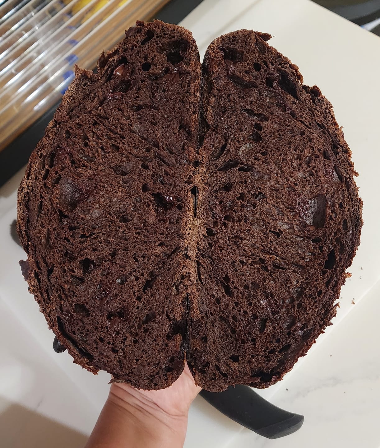 Customer photo review of Live 119 Year Old Valrhona CHOCOLATE Sourdough Starter Includes Maintenance PDF & Chocolate Noir Loaf Recipe