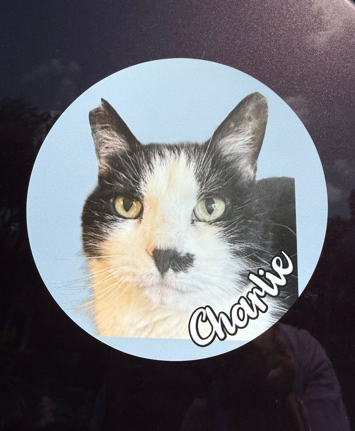 Customer photo review of Your photo - Personalized Car Magnet