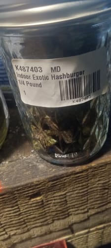 Indoor Exotics - Hashburger - 14 Grams - Indica photo review