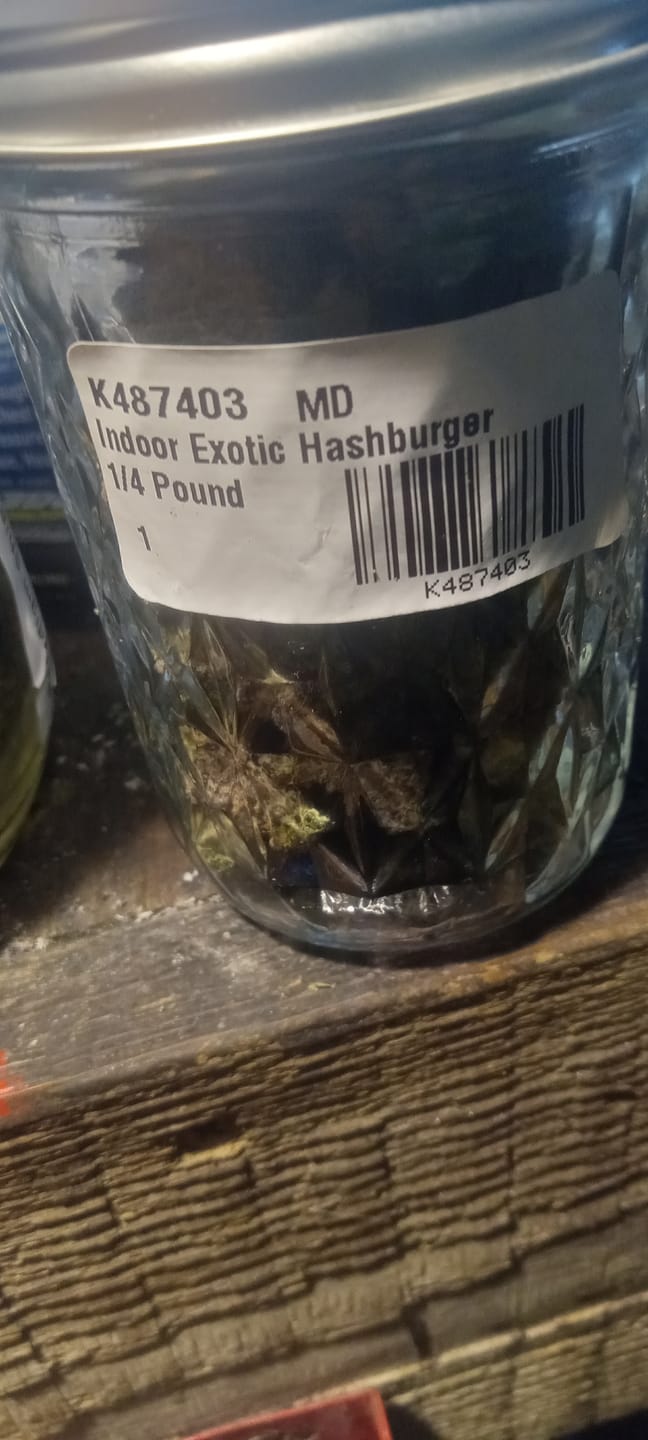 Customer photo review of Indoor Exotics - Hashburger - 14 Grams - Indica