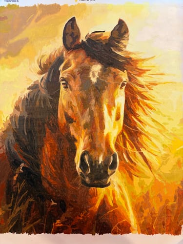 Customer photo review of Sunlit Stallion