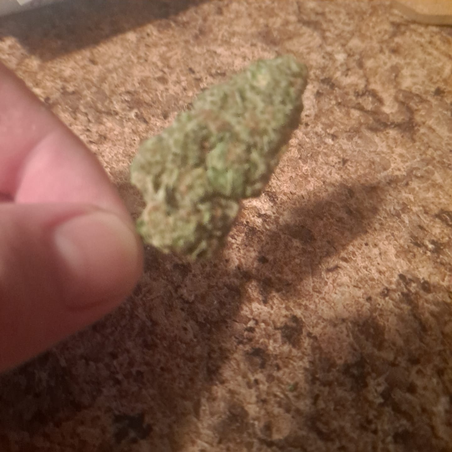 Customer photo review of Face Off | THCA Flower