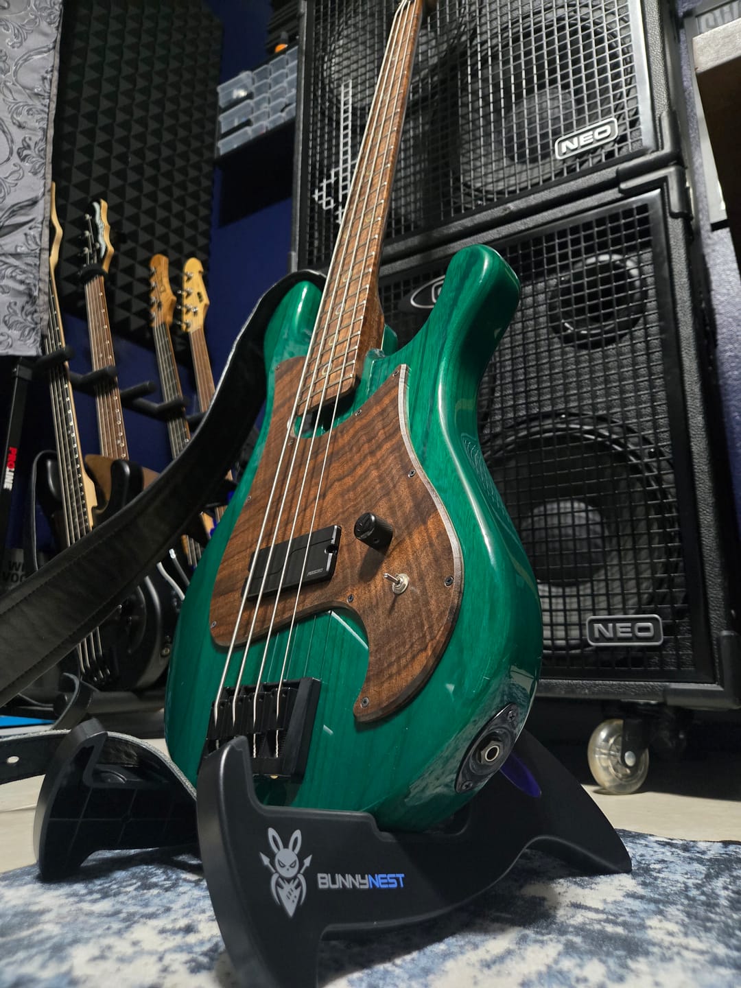 Customer photo review of BunnyNest: Folding A-Frame Guitar & String Instrument Stand