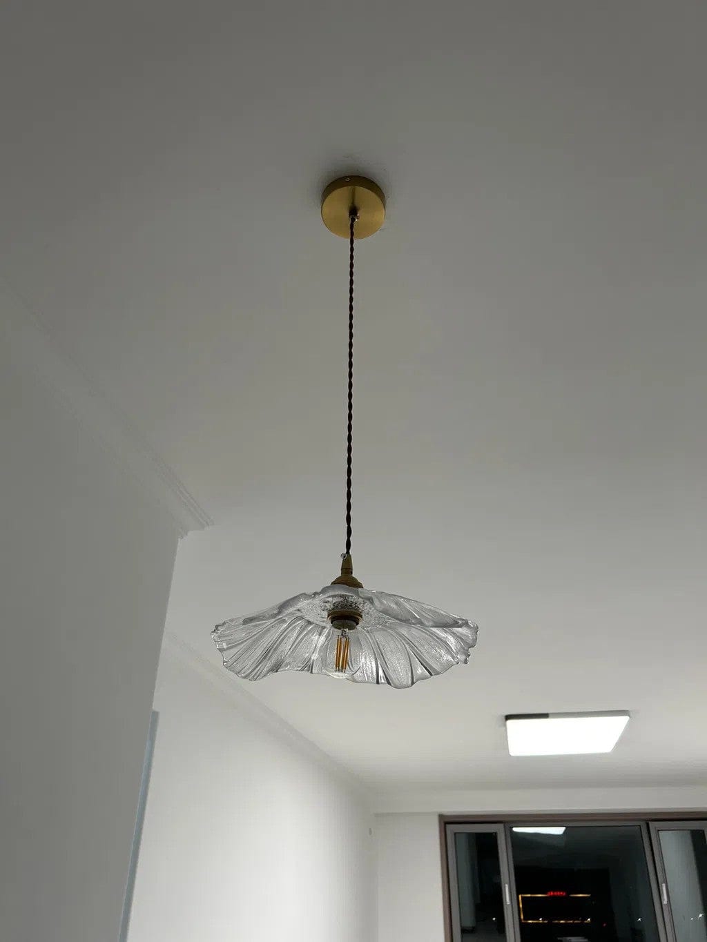 Customer photo review of Traditional Vintage 1-Light Flower Inspired Lotus Glass Pendant Light