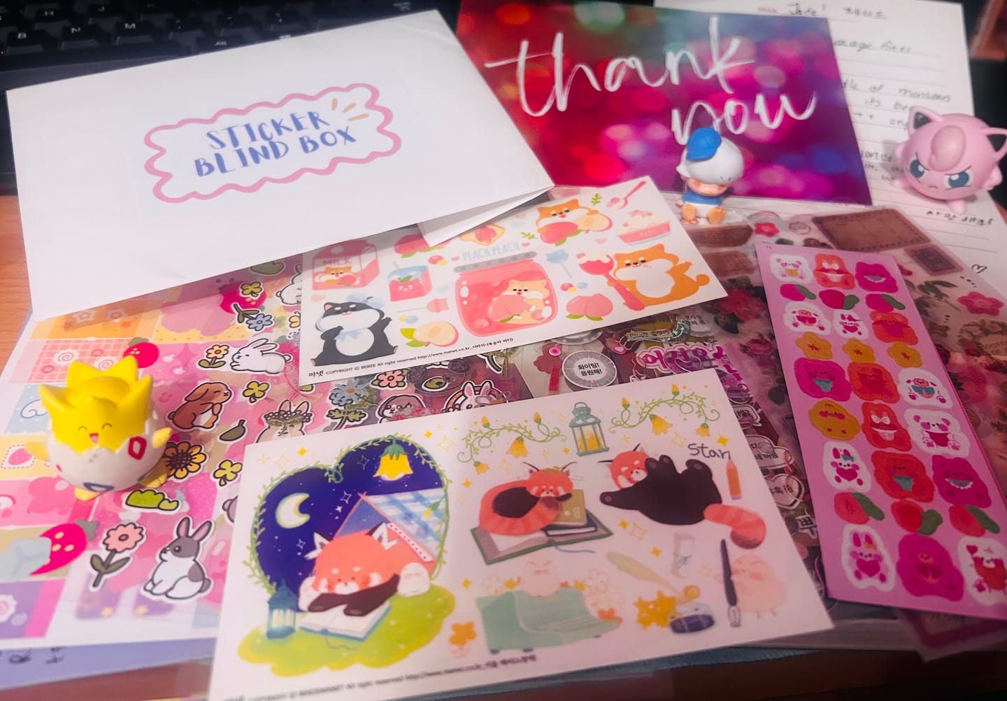 Customer photo review of KSticker Blind Box | 10 Sheets Selected from Nearly 100 Designs