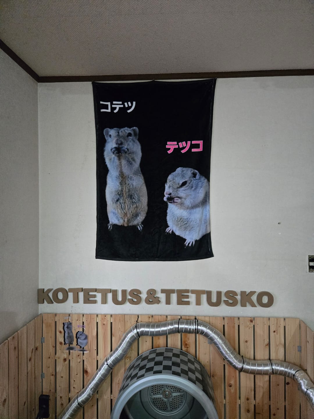 Customer photo review of 世界にひとつだけ♪好きな写真で作るオーダーメイドクッション（20～80cm）