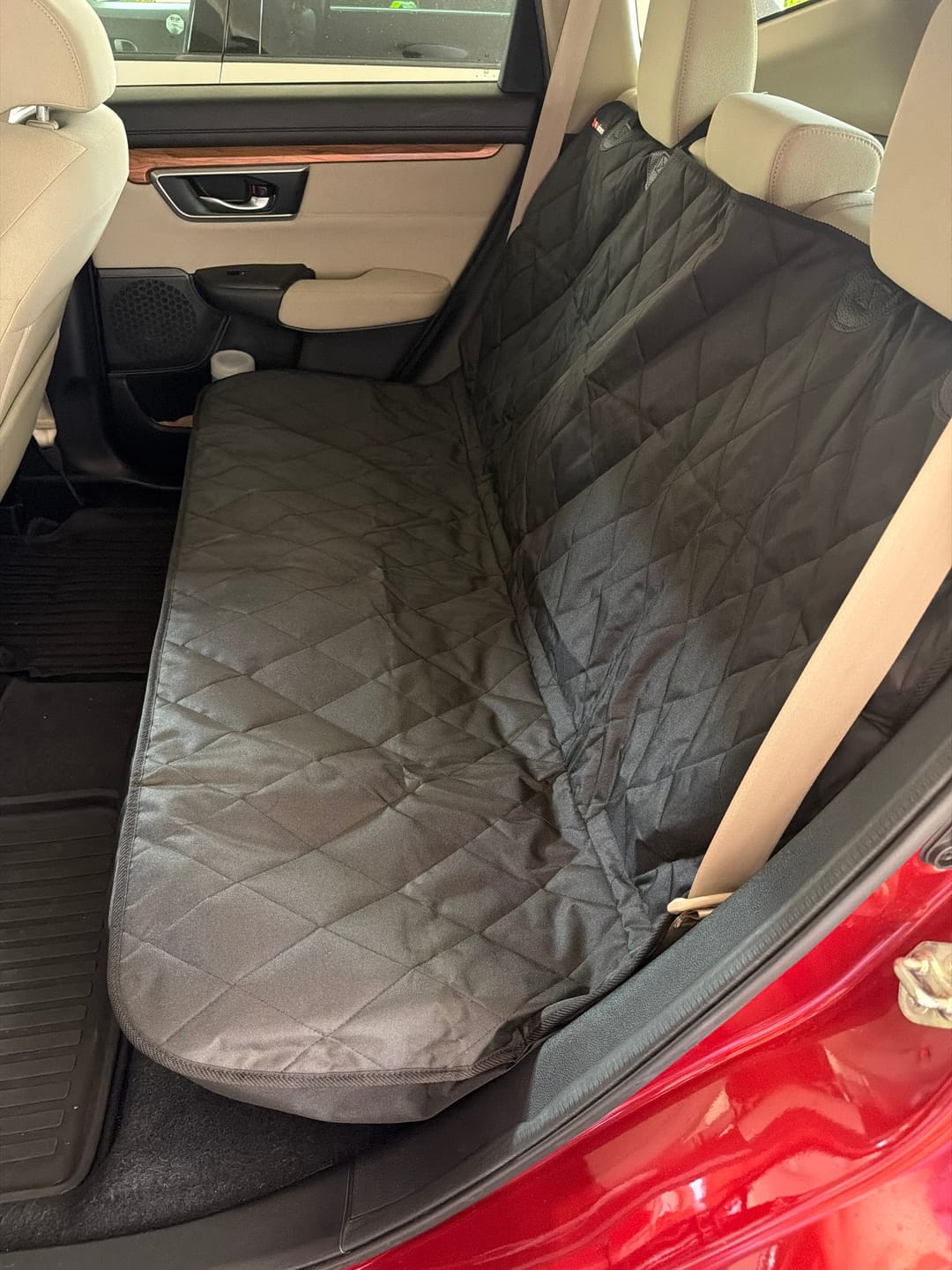 Customer photo review of Dog Rear Seat Cover - No Hammock
