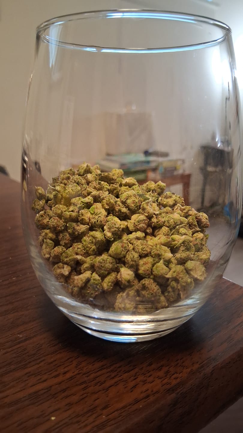 Customer photo review of 1 Oz Cheap THCA Small Buds