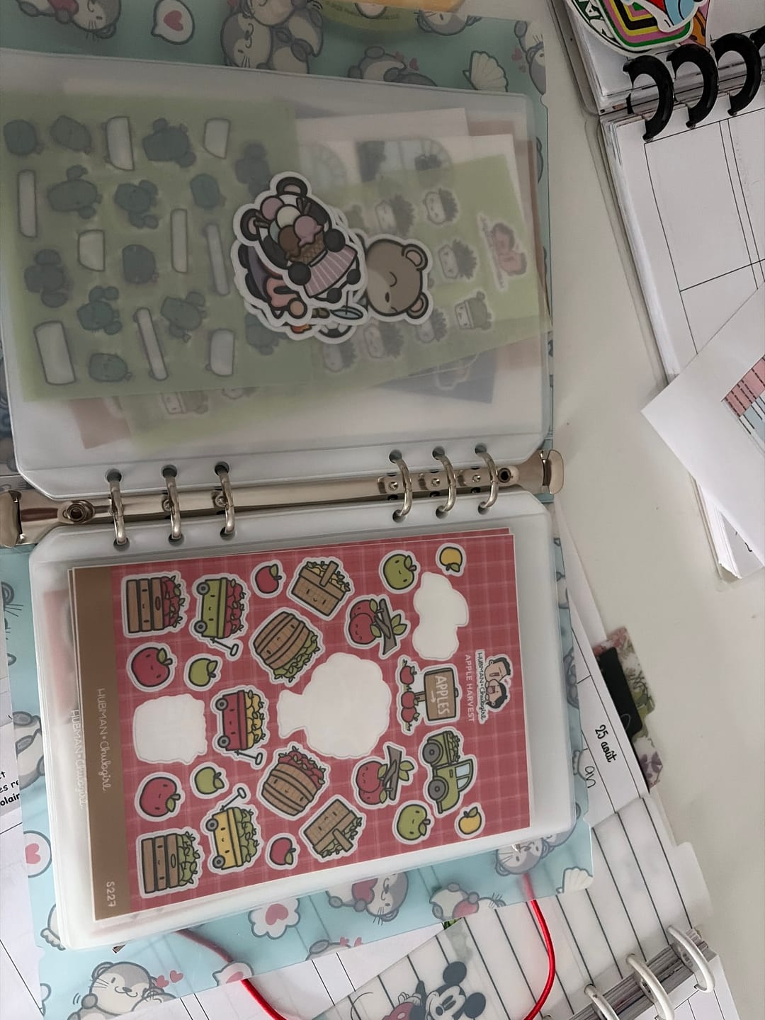 Customer photo review of Small Storage Pockets
