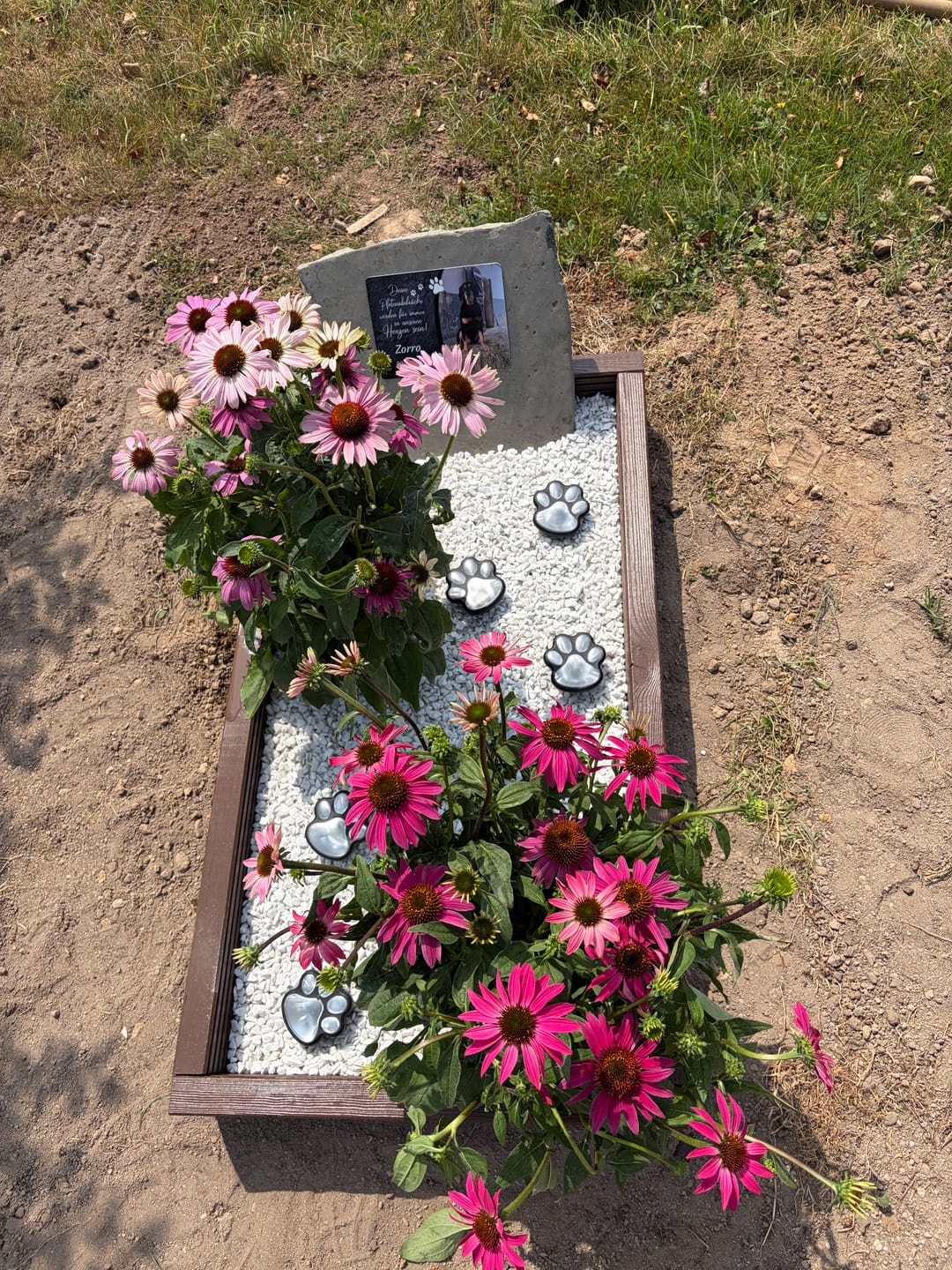 Customer photo review of Hunde Gedenktafel mit Foto & Spruch (UV- &  Wetterfest)