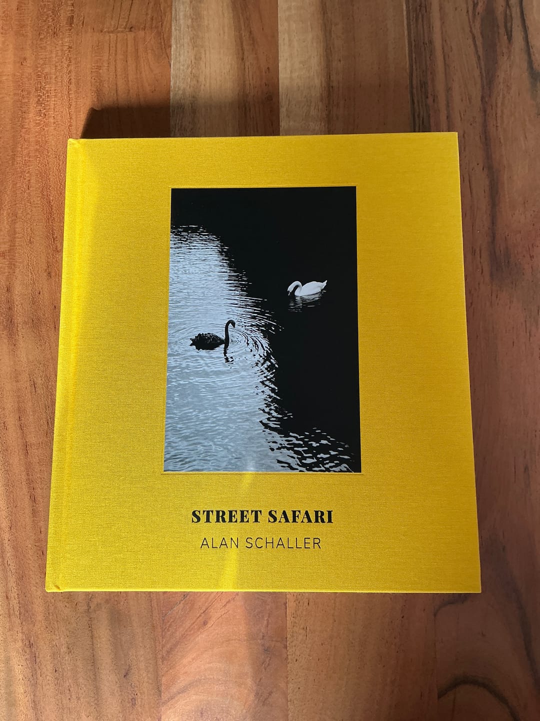 Customer photo review of Street Safari by Alan Schaller – Signed First Edition (Signature Included for the First 400 Orders)