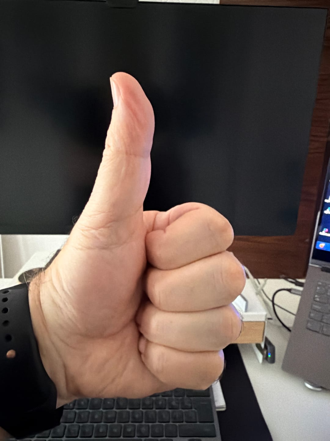 Customer photo review of Tuzsuz Ayçekirdeği