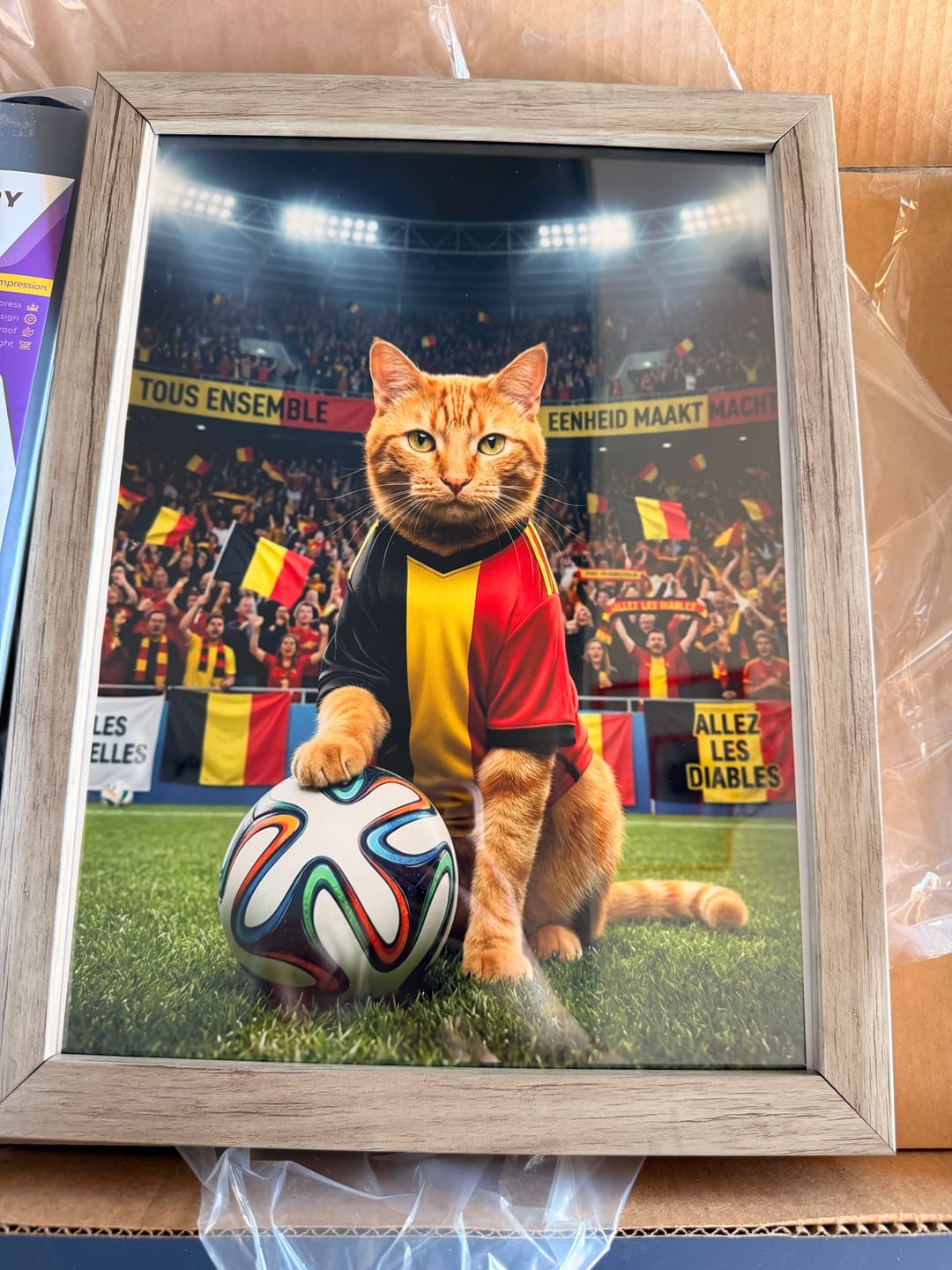 Customer photo review of World Cup - Personalized Poster