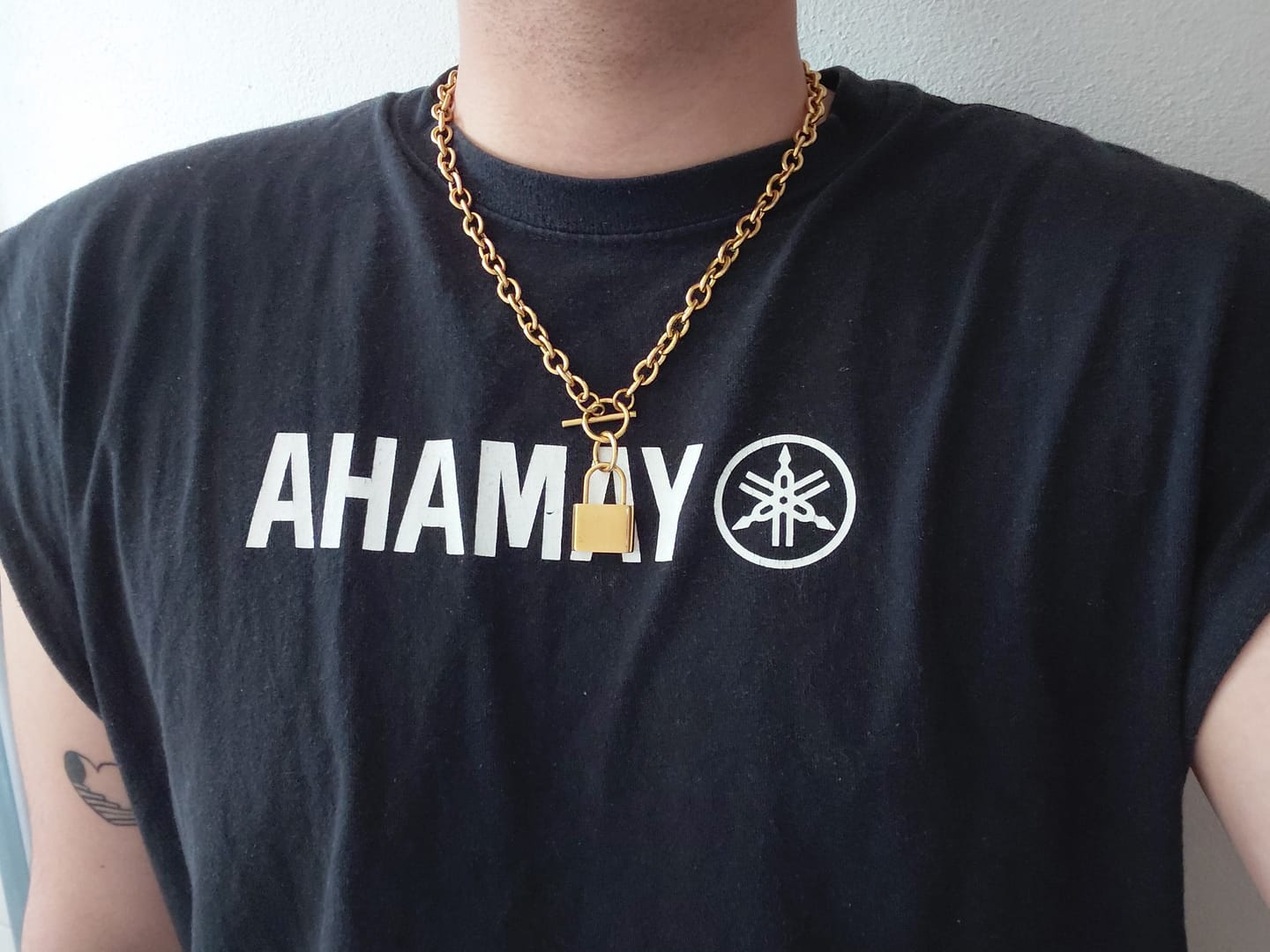 Customer photo review of Collar Candado