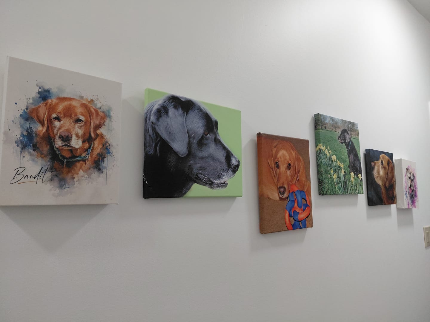 Customer photo review of Custom Pet Portrait Canvas - Contemporary Neutral