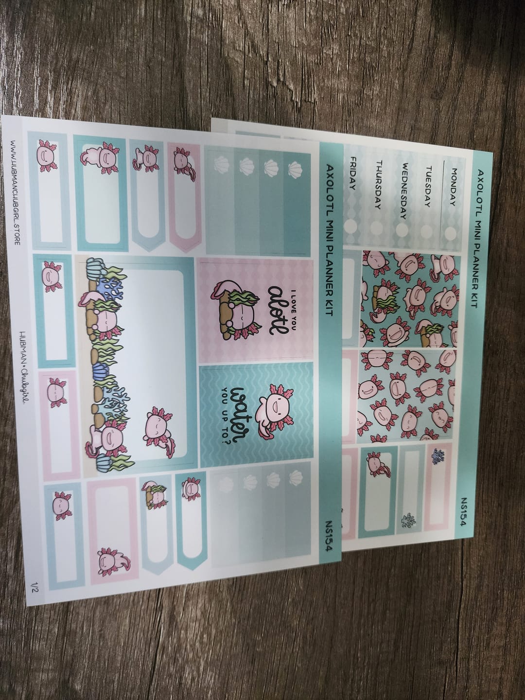 Customer photo review of Happy Axolotl Mini Planner Kit (Set of 2)