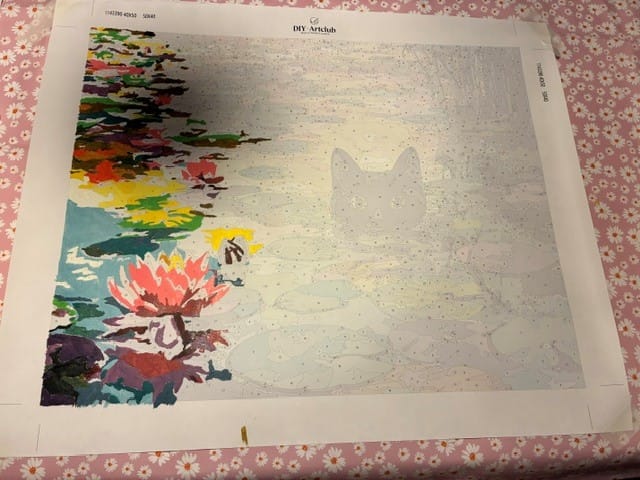 Customer photo review of Surprise Painting | Paint by Numbers