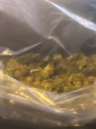 White Widow MICROS - 28 Grams - Hybrid photo review