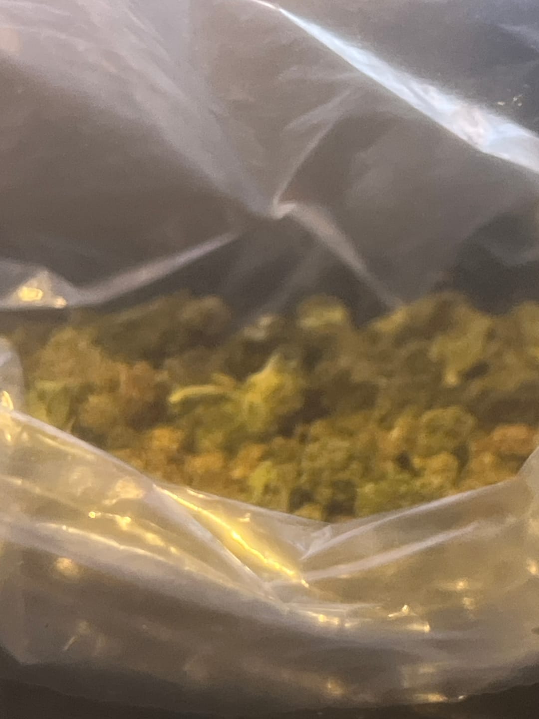 Customer photo review of White Widow MICROS - 28 Grams - Hybrid
