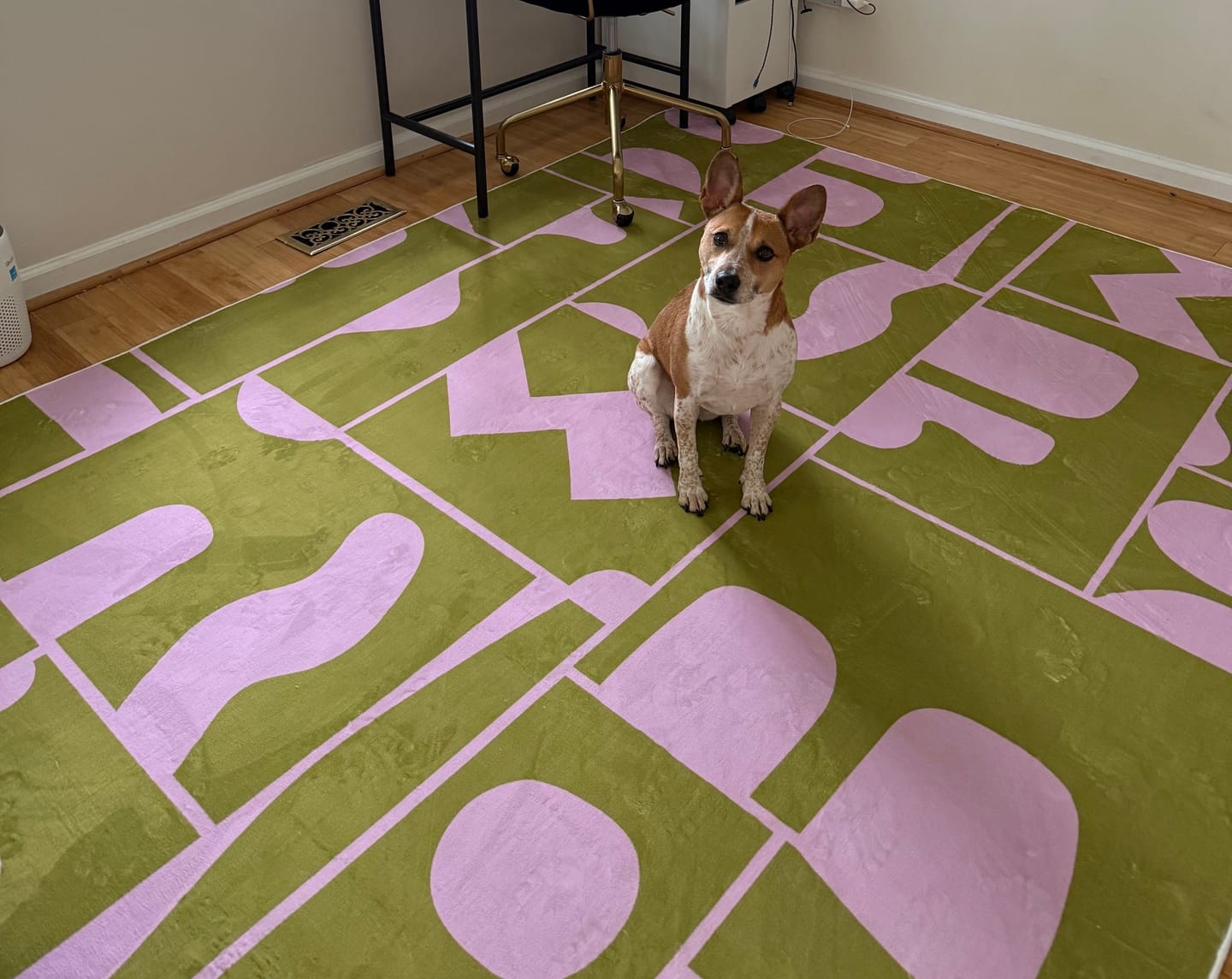 Customer photo review of Abstract Patchwork Rug by Becca Franks