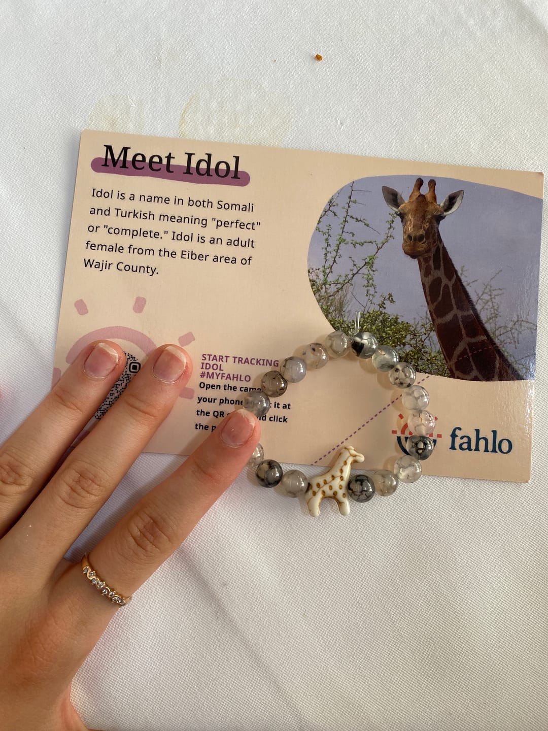 Customer photo review of The Trek Bracelet