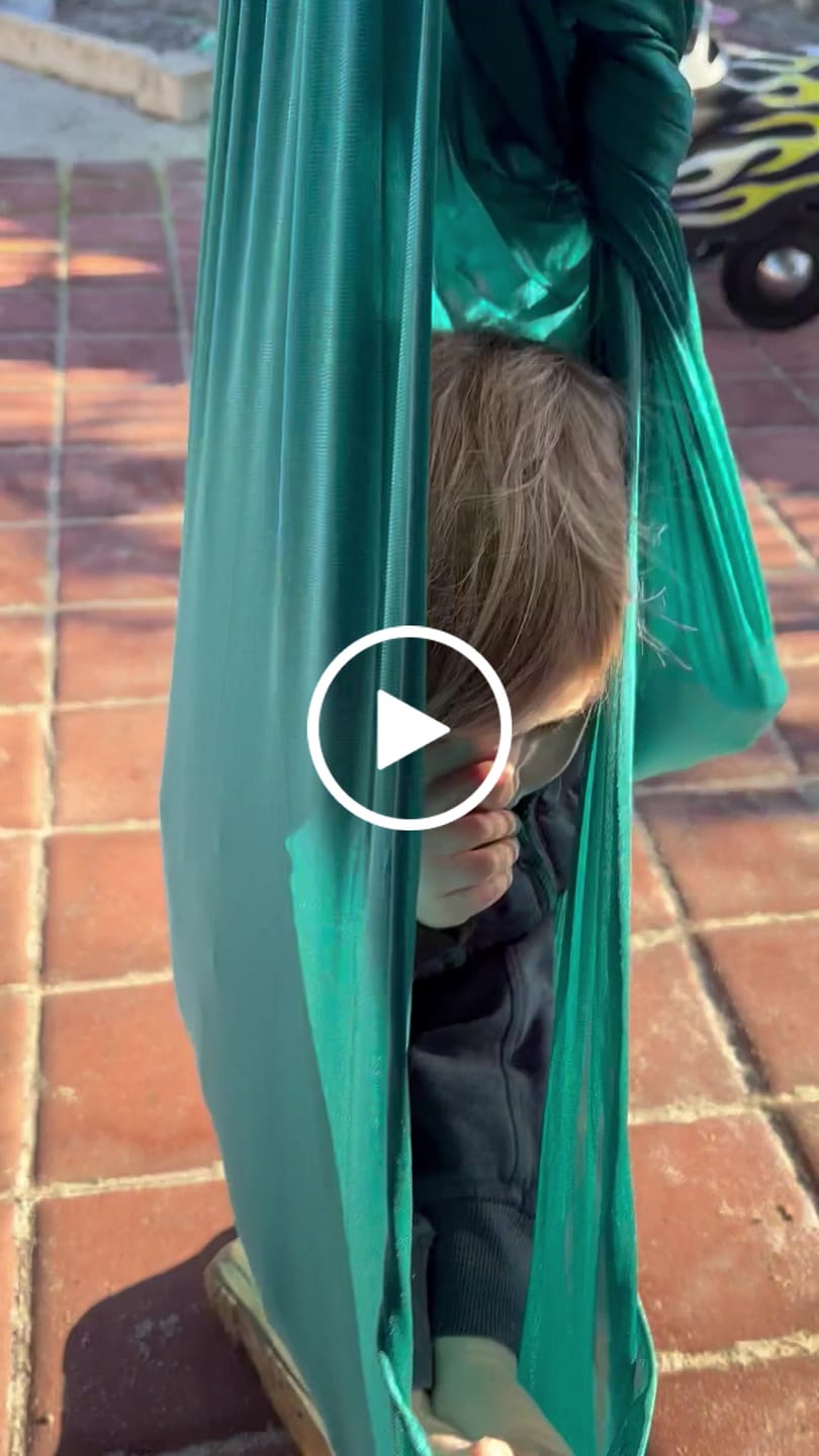 Customer video review of NeuroCalm™ Premium Sensory Swing