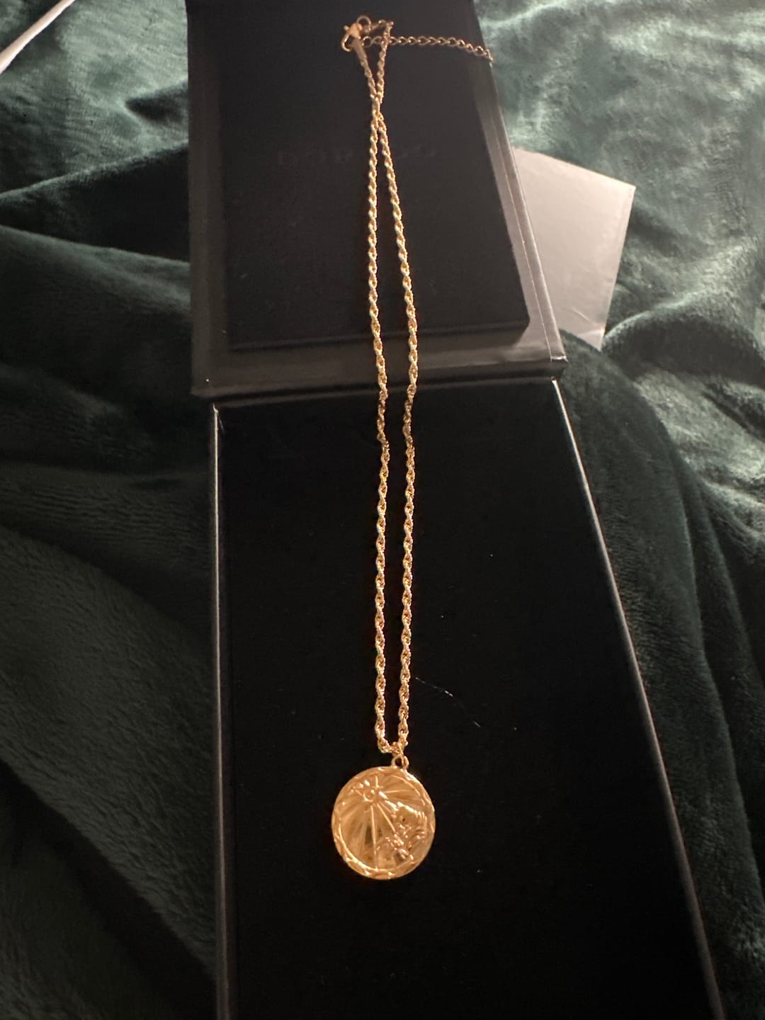 Customer photo review of Zodiac Coin Necklace w/ Rope Chain