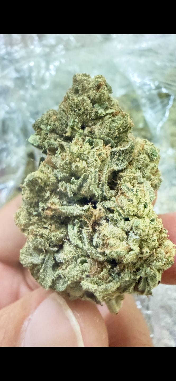 Customer photo review of Alien OG - Bulk - Indica