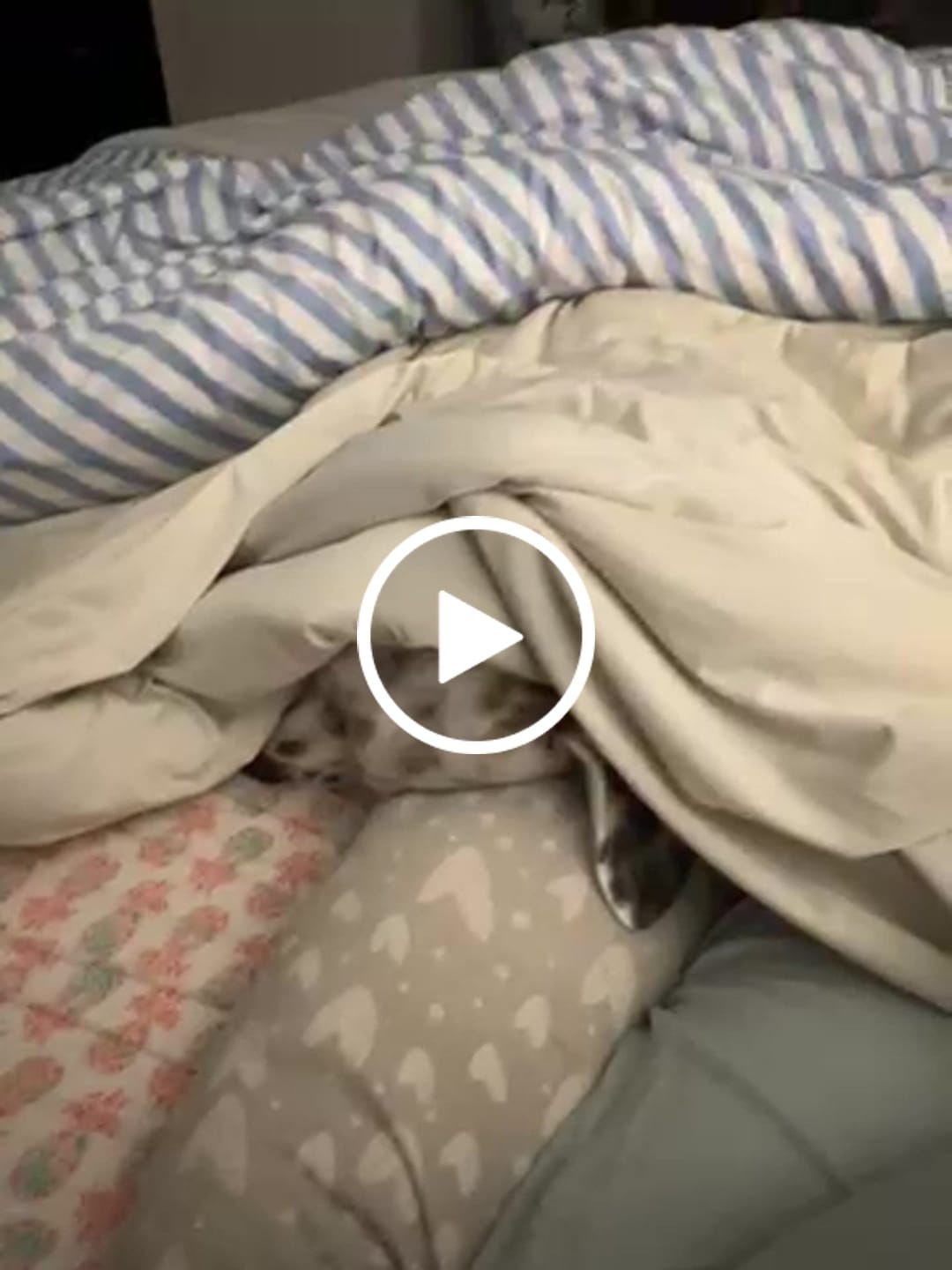 Customer video review of CloudCool™ Cooling Comforter