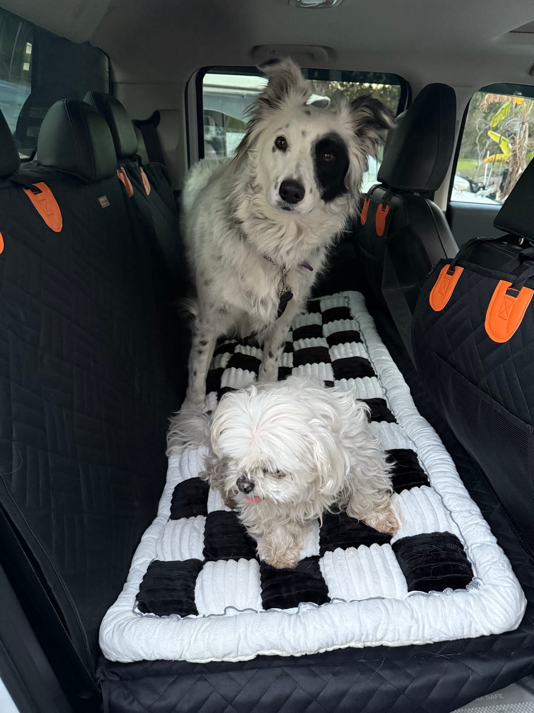 Customer photo review of Companion&Co™ CalmDrive Travel System