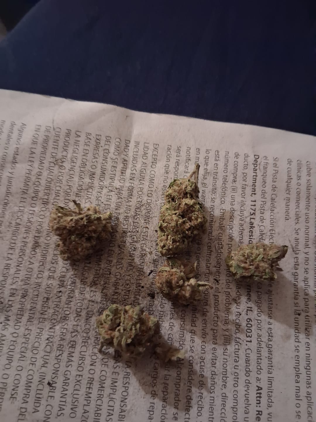 Customer photo review of Blueberry Syrup - 14 Grams - Indica