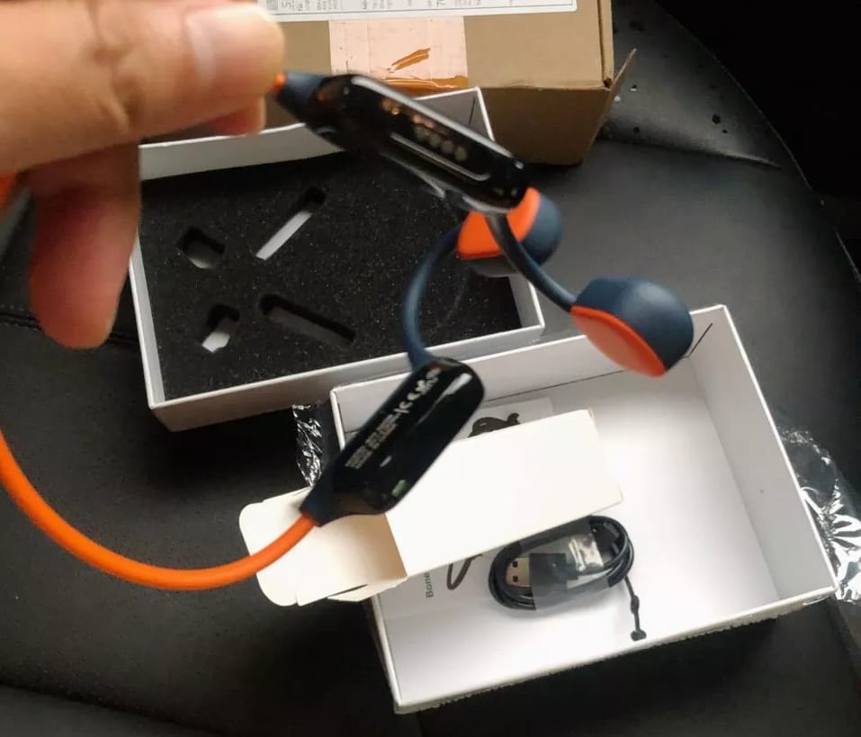 Customer photo review of AudiEar - Earphones