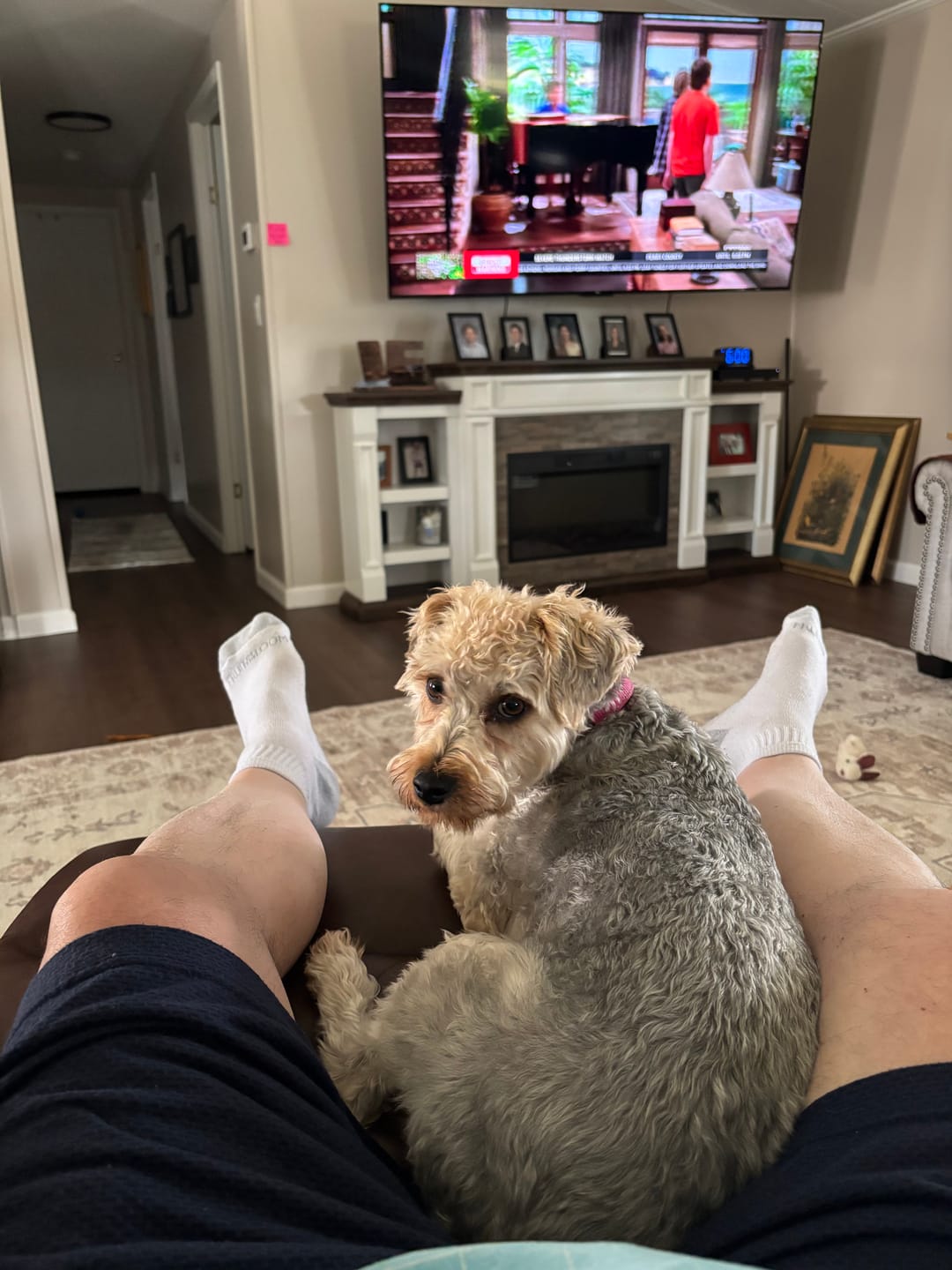 Customer photo review of 6 Inch Standard Bully Stick