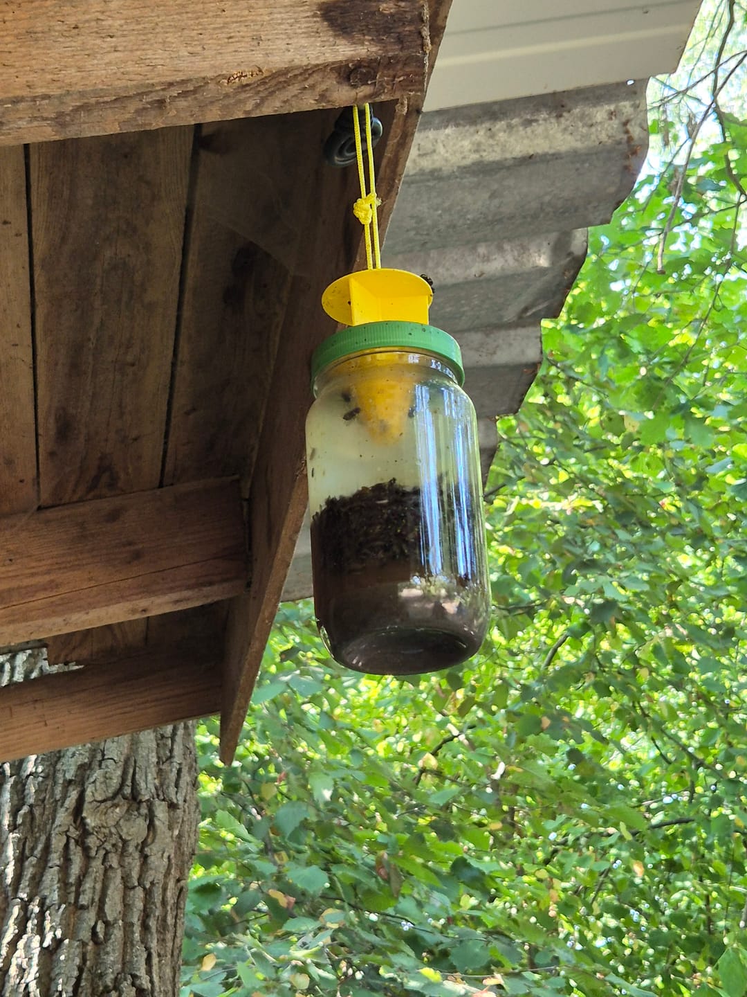 Customer photo review of HorseSafe LiquidTrap – Schluss mit Fliegenstress auf deinem Hof