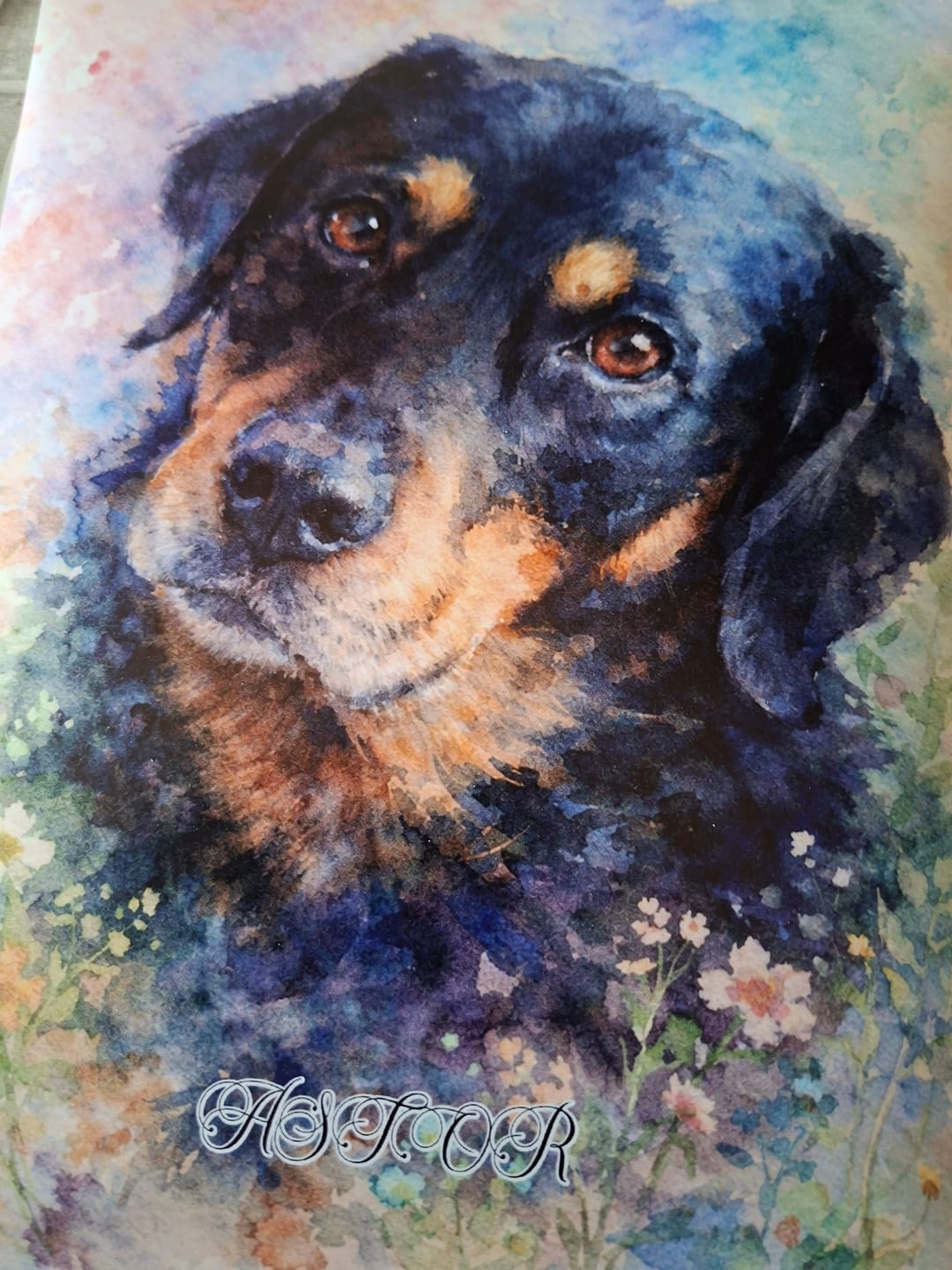 Customer photo review of Realistisch Aquarelportret - Gepersonaliseerde Poster