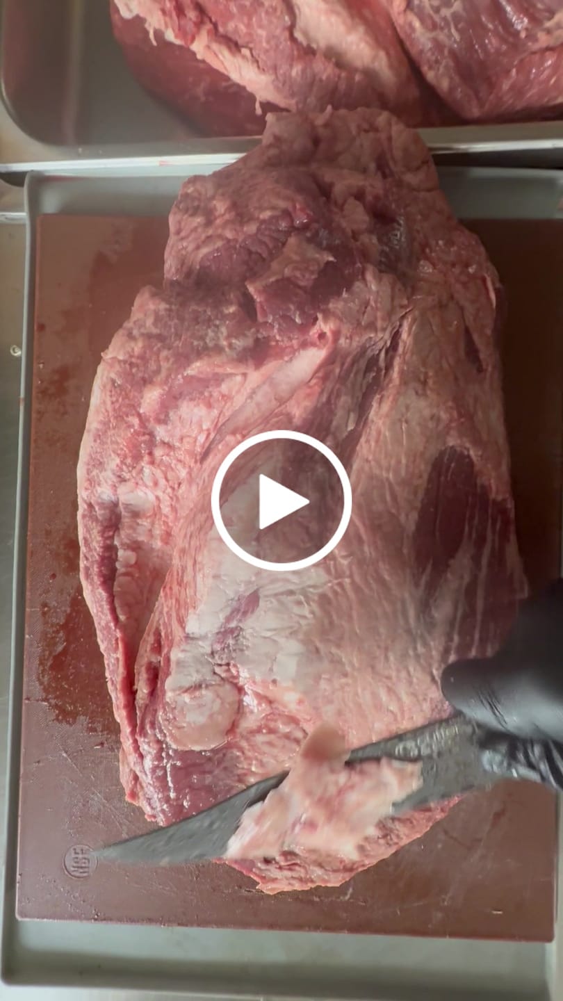 Customer video review of CHEF KNIFE 8” Endeavor Series