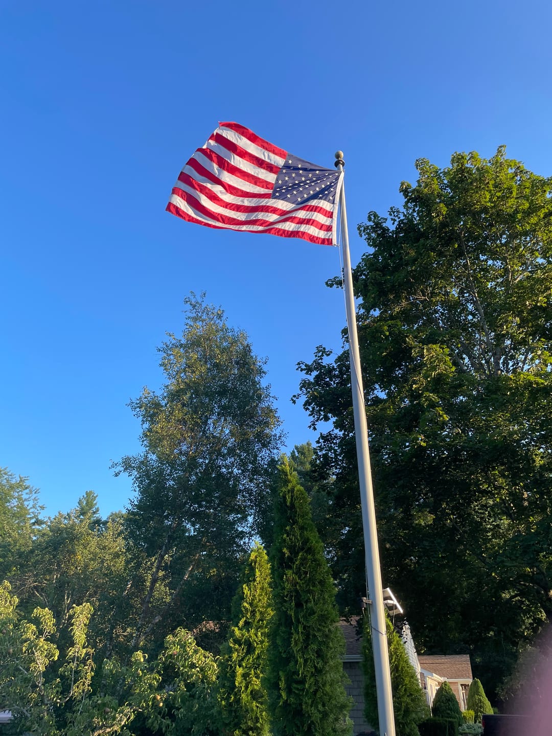 Customer photo review of 5' x 8' American Flag