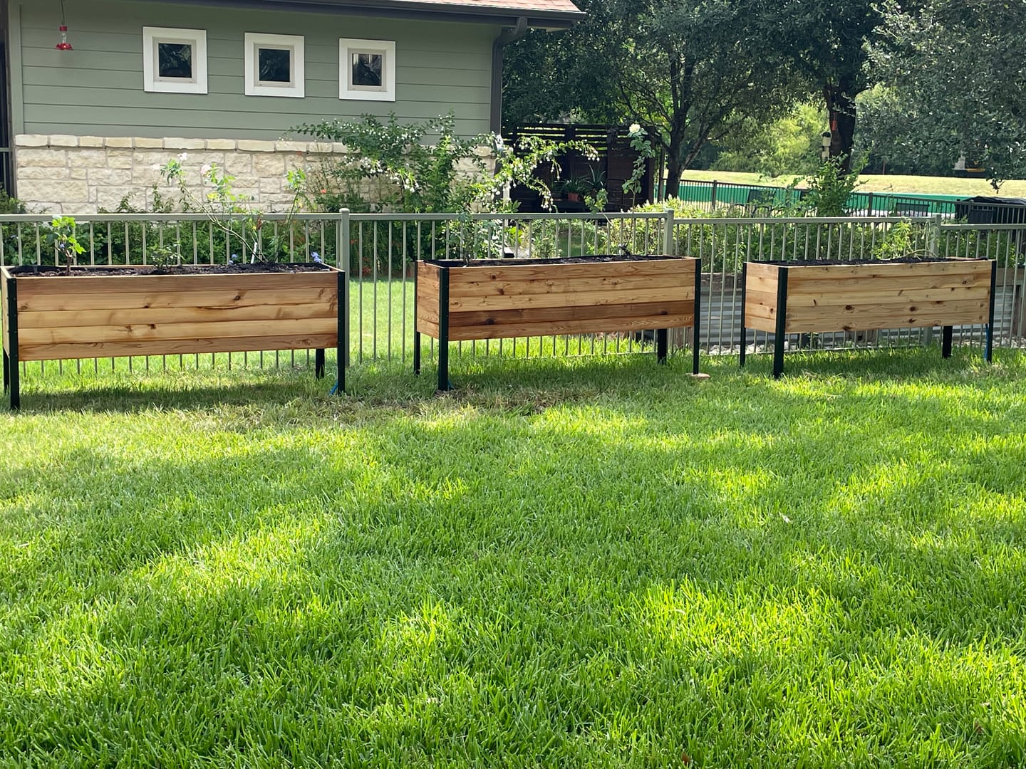 Customer photo review of 18″ x 72″ Deep Root Raised Garden Bed - 30″ TALL / Select Grade