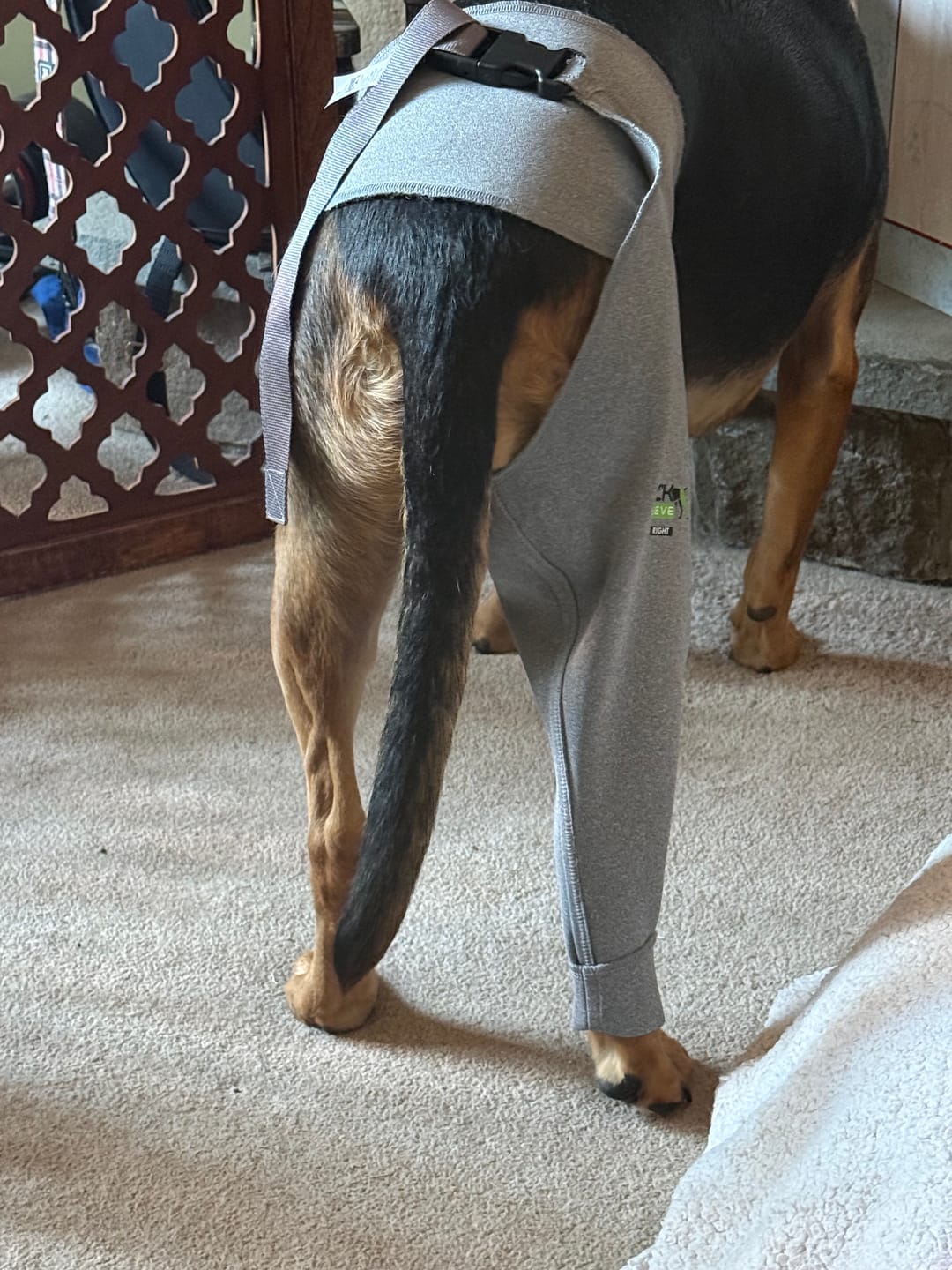 Customer photo review of Lick Sleeve® Leg Sleeve