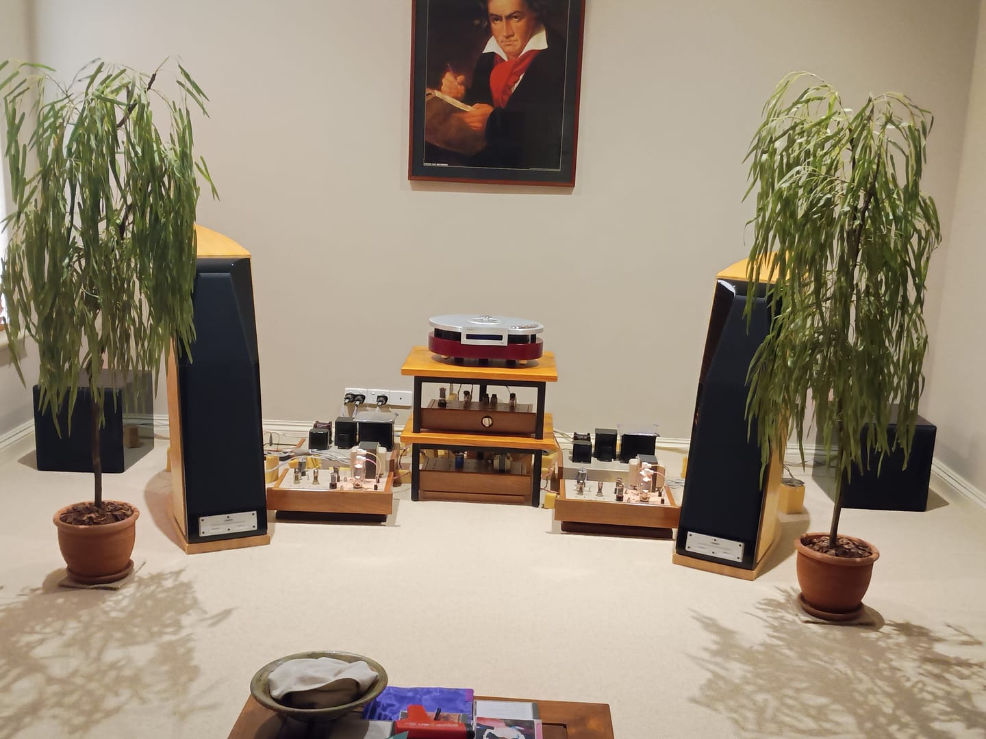 Customer photo review of Supersonic V1