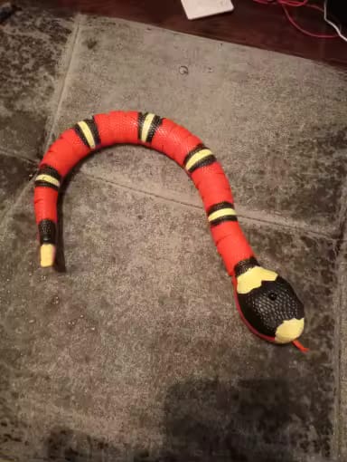 Customer photo review of The Slither — Auto Sensing Cat Snake Toy