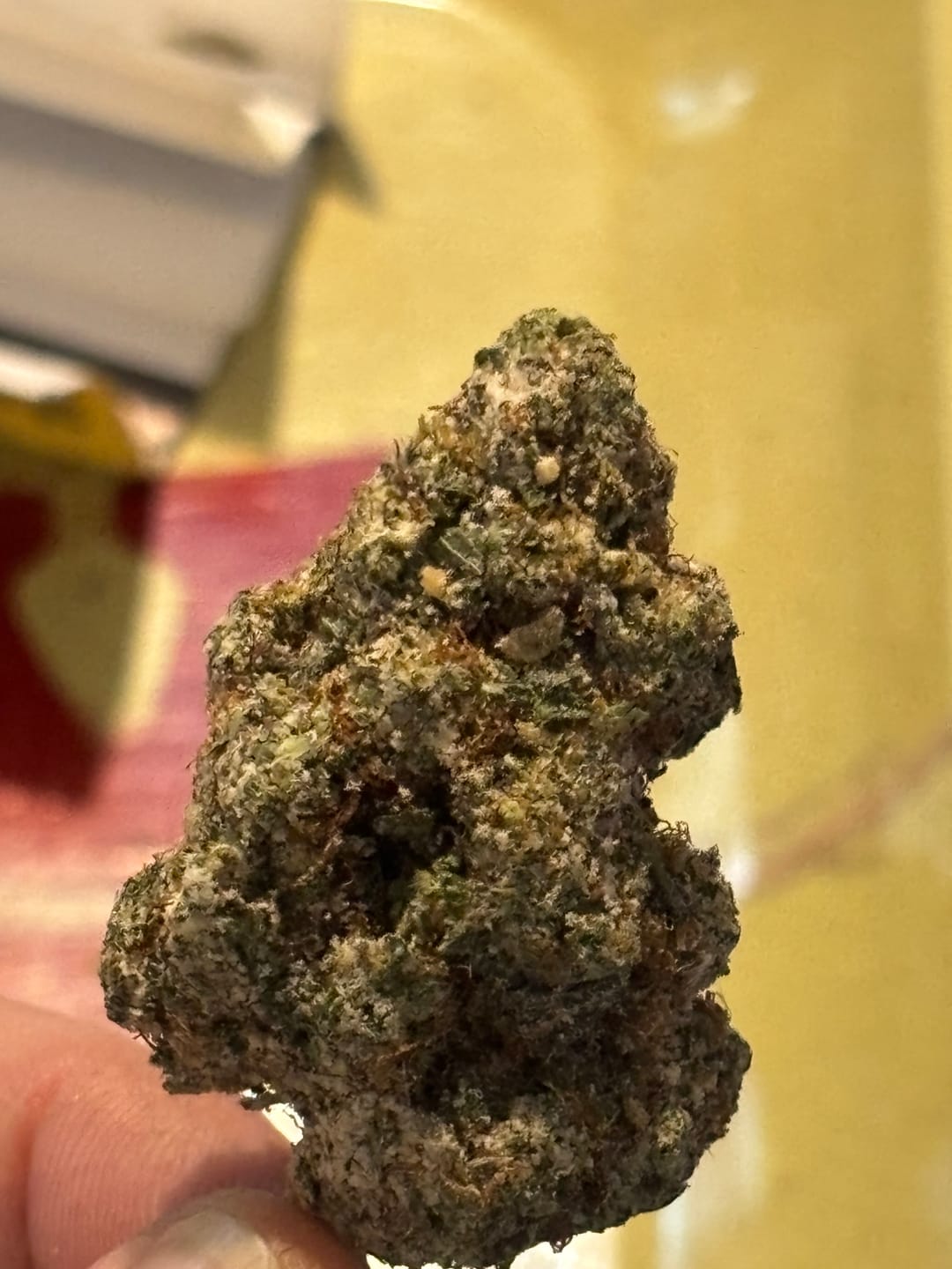 Customer photo review of Ice Cream Cake - 28 Grams - Indica