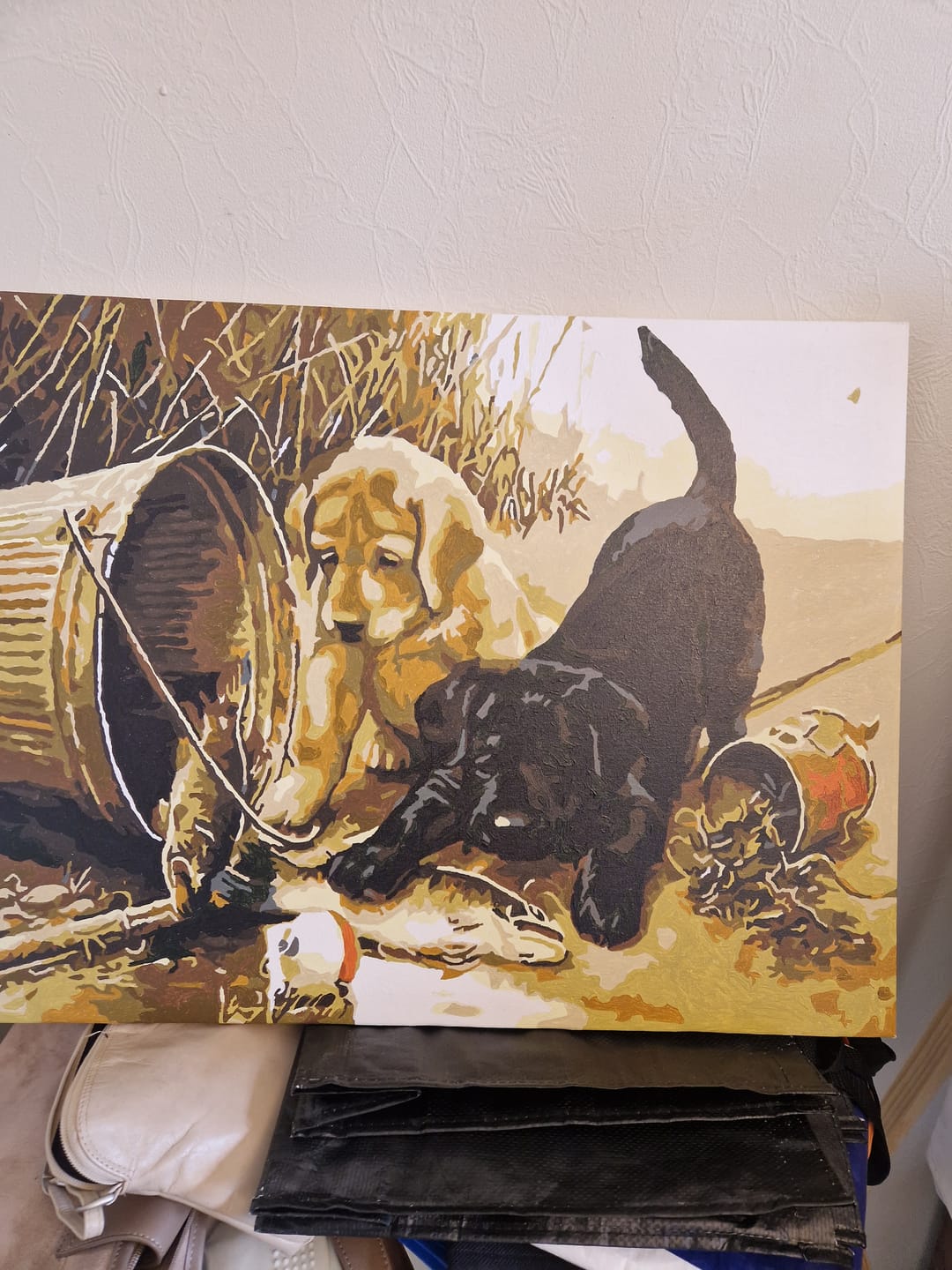 Customer photo review of Chiots jouant avec des Poissons